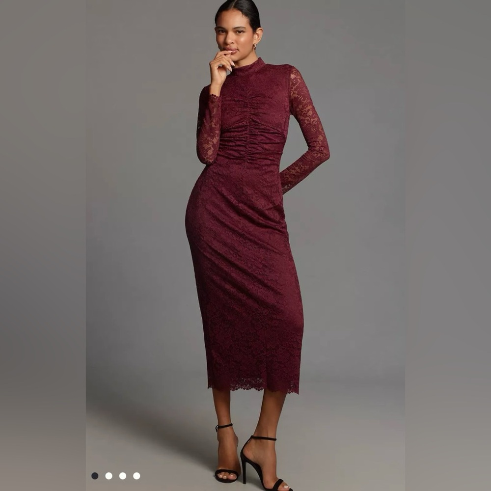 Anthropologie Fitted Lace Dress - Medium